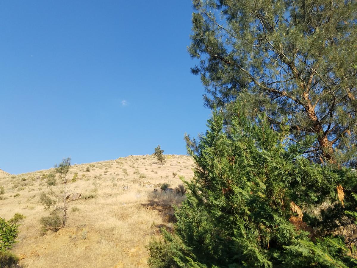 شقة أجنحة ساكريد ماونتين ريفر ريتريت كيرنفيل المظهر الخارجي الصورة